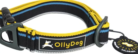 OllyDog Urban Trail Reflective Collar Anthracite