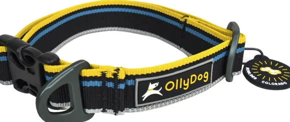 OllyDog Urban Trail Reflective Collar Anthracite