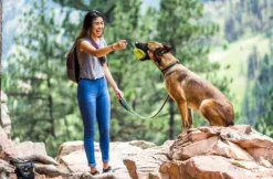 OllyDog Urban Trail Reflective Collar Anthracite