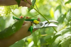 Opinel Hand Pruner -puutarhasakset, vihreä