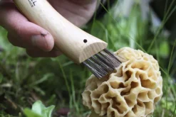 Opinel Mushroom Knife No8 Beechwood 8 cm