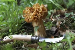 Opinel Mushroom Knife No8 Beechwood 8 cm