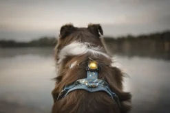 Orbiloc Dual -turvavalo, keltainen