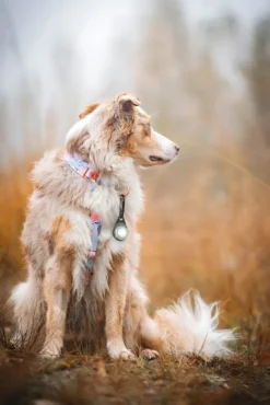 Orbiloc Dual -turvavalo, valkoinen