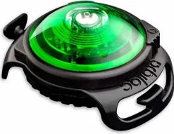 Orbiloc Vihreä Dual