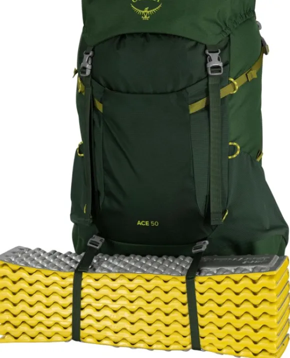 Osprey Ace 50 Blue Spikemoss/Deep Peyto Kids