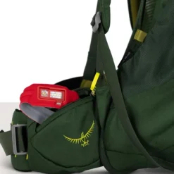 Osprey Ace 50 Green Canopy/Matcha Green Kids