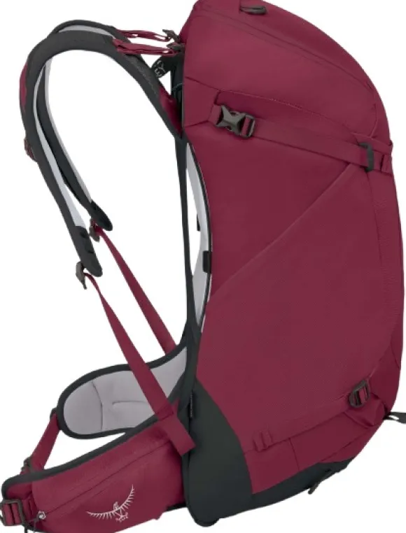 Osprey Hikelite 32 Chameleon/Black