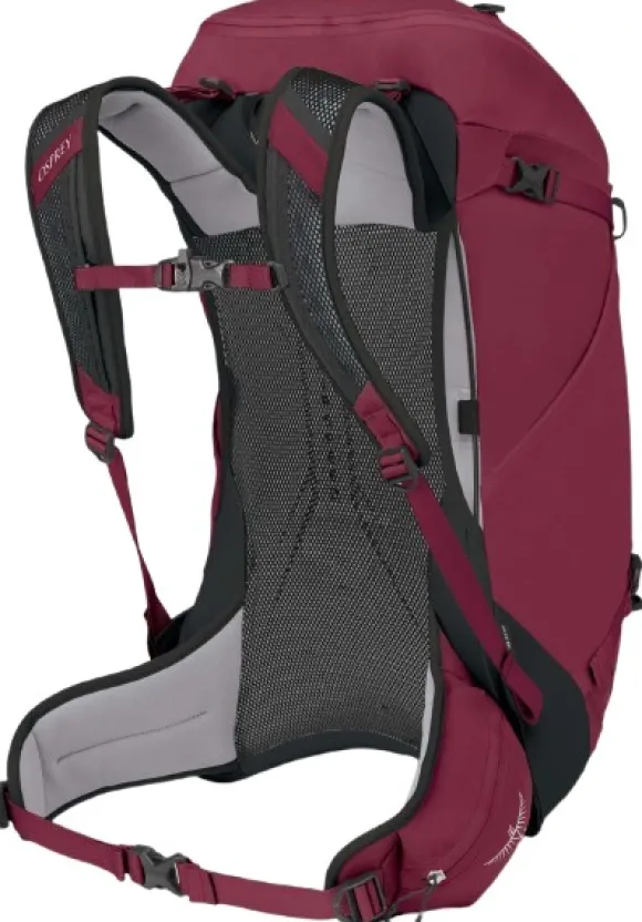 Osprey Hikelite 32 Chameleon/Black