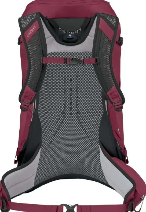 Osprey Hikelite 32 Chameleon/Black