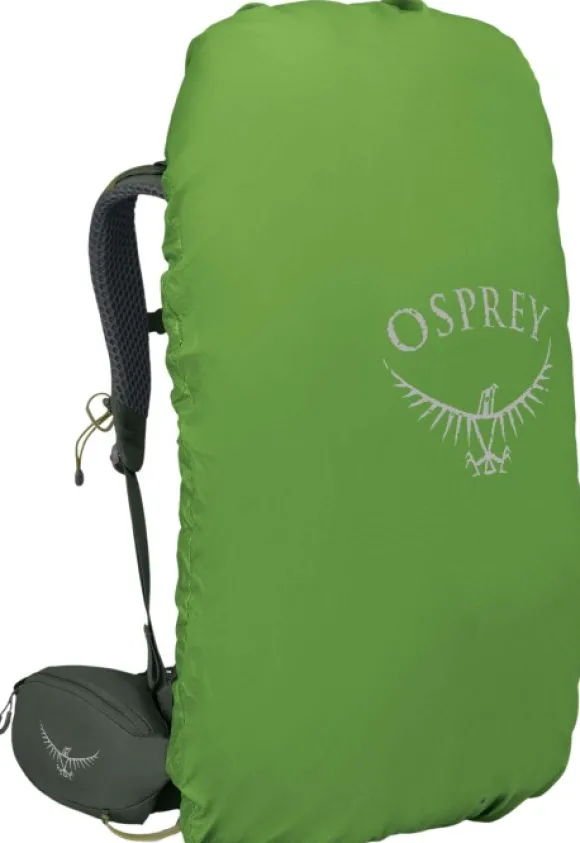 Osprey M's Kestrel 38 Bonsai Green