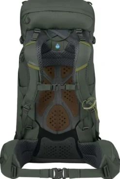Osprey M's Kestrel 38 Bonsai Green