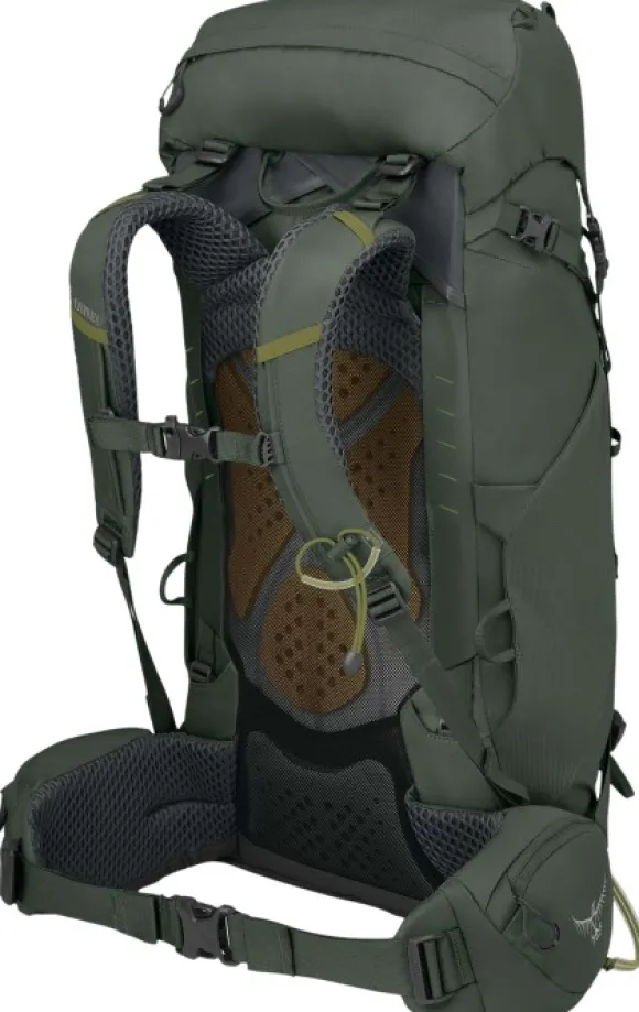 Osprey M's Kestrel 38 Bonsai Green