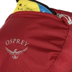 Osprey Talon 36 reppu, Eclipse Grey