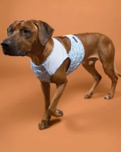 PAIKKA Cool Vest viilennysliivi, L-XL, Snow Leo