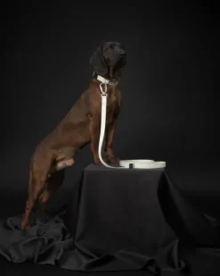 PAIKKA Glow Leash talutushihna, 2x180 cm, White