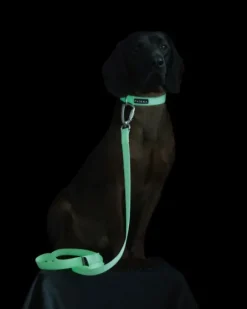 PAIKKA Glow Leash talutushihna, 2x180 cm, White