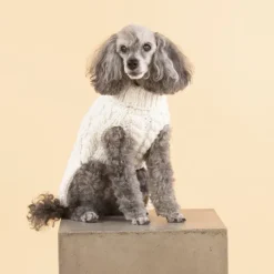 PAIKKA Handmade Knit koiran neulepusero, 45-50 cm, luonnonvalkoinen