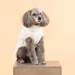 PAIKKA Handmade Knit koiran neulepusero, 20-30 cm, luonnonvalkoinen