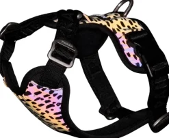 Paikka Harness 2.0 valjaat