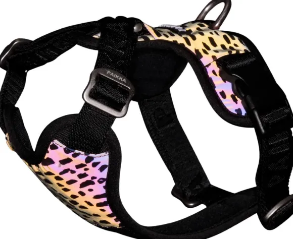 Paikka Harness 2.0 valjaat