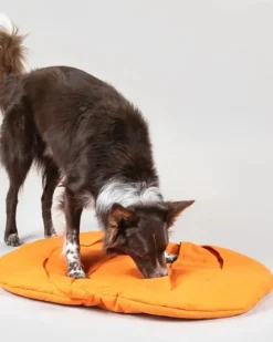 PAIKKA Pumpkin Playmat Squash aktivointimatto, oranssi