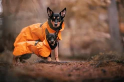 PAIKKA Recovery Raincoat sadetakki infrapunakangasvuorilla, 35-50 cm, oranssi