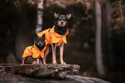 PAIKKA Recovery Raincoat sadetakki infrapunakangasvuorilla, 35-50 cm, oranssi