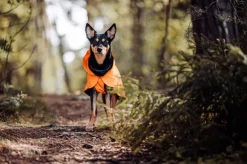 PAIKKA Recovery Raincoat sadetakki infrapunakangasvuorilla, 35-50 cm, oranssi