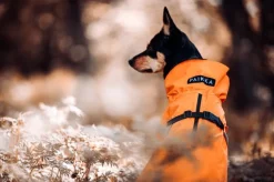 PAIKKA Recovery Raincoat sadetakki infrapunakangasvuorilla, 35-50 cm, oranssi