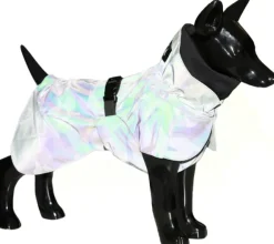 PAIKKA Recovery Raincoat koiran sadetakki, 35-50 cm, Camo