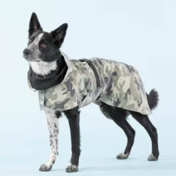 PAIKKA Recovery Raincoat koiran sadetakki, 35-50 cm, Camo