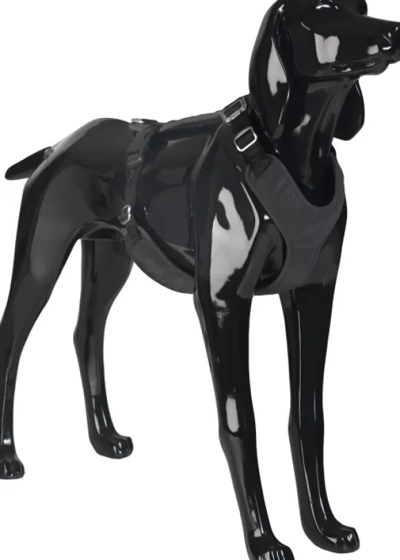 PAIKKA Visibility Harness koiran valjaat, M-L, Dark