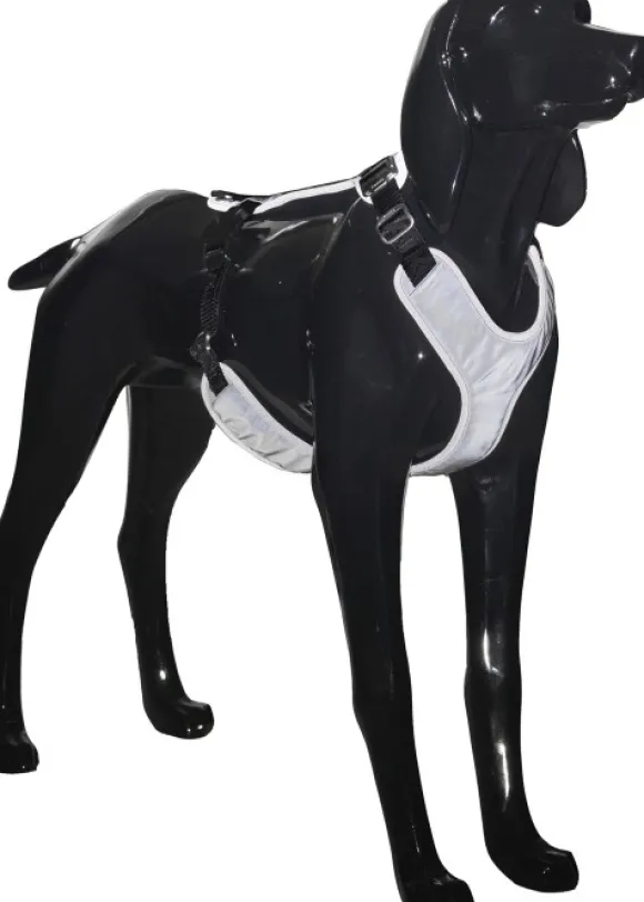PAIKKA Visibility Harness koiran valjaat, M-L, Dark