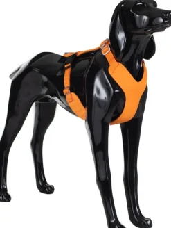 PAIKKA Visibility Harness koiran valjaat, M-L, oranssi