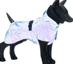 PAIKKA Visibility Raincoat koiran sadetakki, 35 - 50 cm, sininen