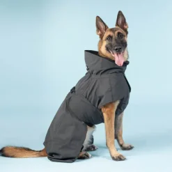 PAIKKA Visibility Raincoat koiran sadetakki, 55-60 cm, harmaa