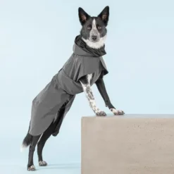 PAIKKA Visibility Raincoat koiran sadetakki, 55-60 cm, harmaa