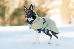 PAIKKA Visibility Winter Jacket talvitakki infrapunakangasvuorilla, 55-60 cm, lila