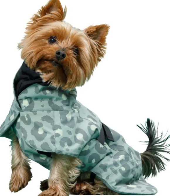 Paikka Visibility Winter Jacket koiran takki, Green Leo