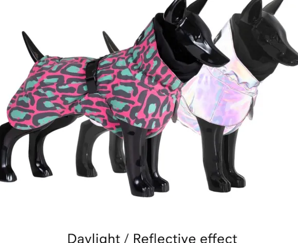 PAIKKA Visibility Winter Jacket koiran talvitakki, 20-30 cm, Jungle