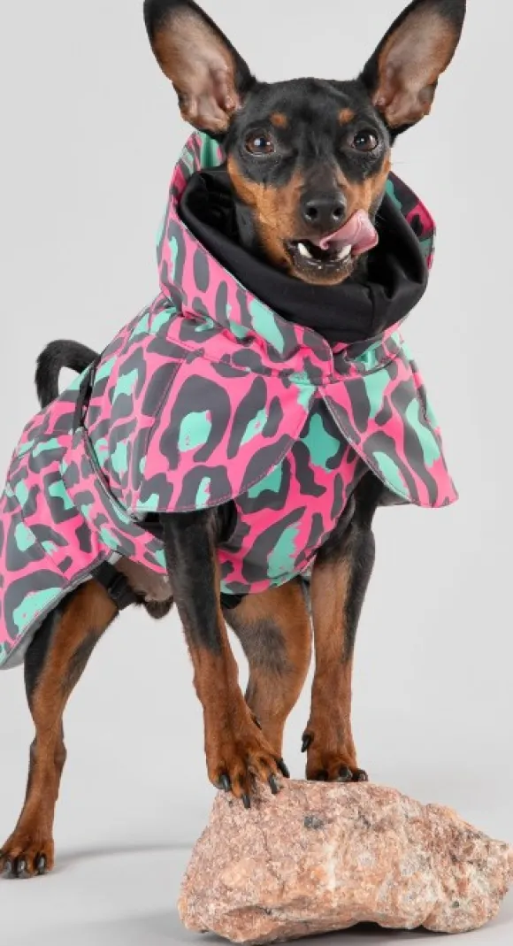 PAIKKA Visibility Winter Jacket koiran talvitakki, 20-30 cm, Jungle