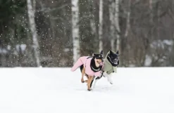 PAIKKA Visibility Winter Jacket talvitakki infrapunakangasvuorilla, 30 cm, tummanharmaa