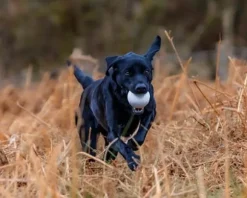 PAW of Sweden Launcher Ball punainen