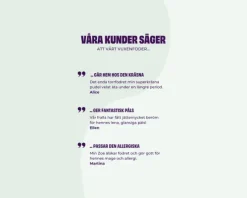 Petgood hyönteispohjainen koiranruoka 2 kg