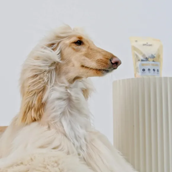 Petgood Iho ja Turkki Koiranherkku, 100 g