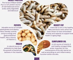 Petgood märkäruoka aikuisille koirille, 300 g