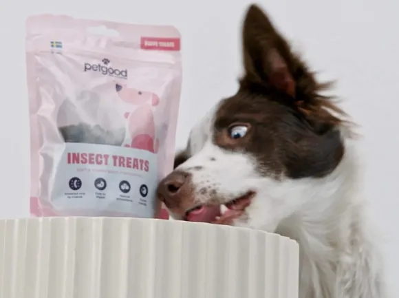 Petgood pentuherkku 100 g