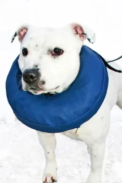 PetNation Iho-/haava-/korvasuihke PetNation Easy Care 100 ml