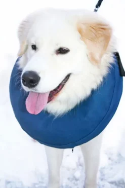 PetNation Iho-/haava-/korvasuihke PetNation Easy Care 100 ml